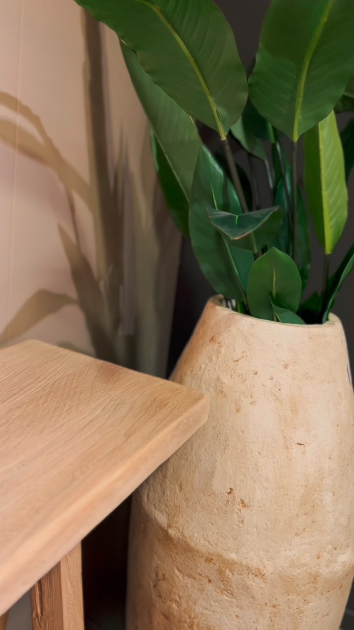 NIEUW! 🌿 Rust, gezelligheid en warmte in huis dankzij onze nieuwe uitgebreide collectie aan kasten, banken en tafels gemaakt uit Elm. Deze rustieke houtsoort geeft karakter aan iedere woning.

Ontdek de volledige collectie in onze toonzaal te Wetteren.