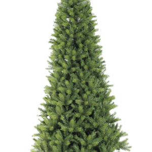 3B