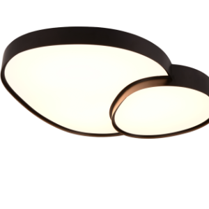 Plafondlamp Rise