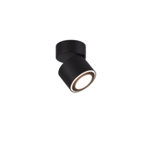 Plafondlamp Taurus